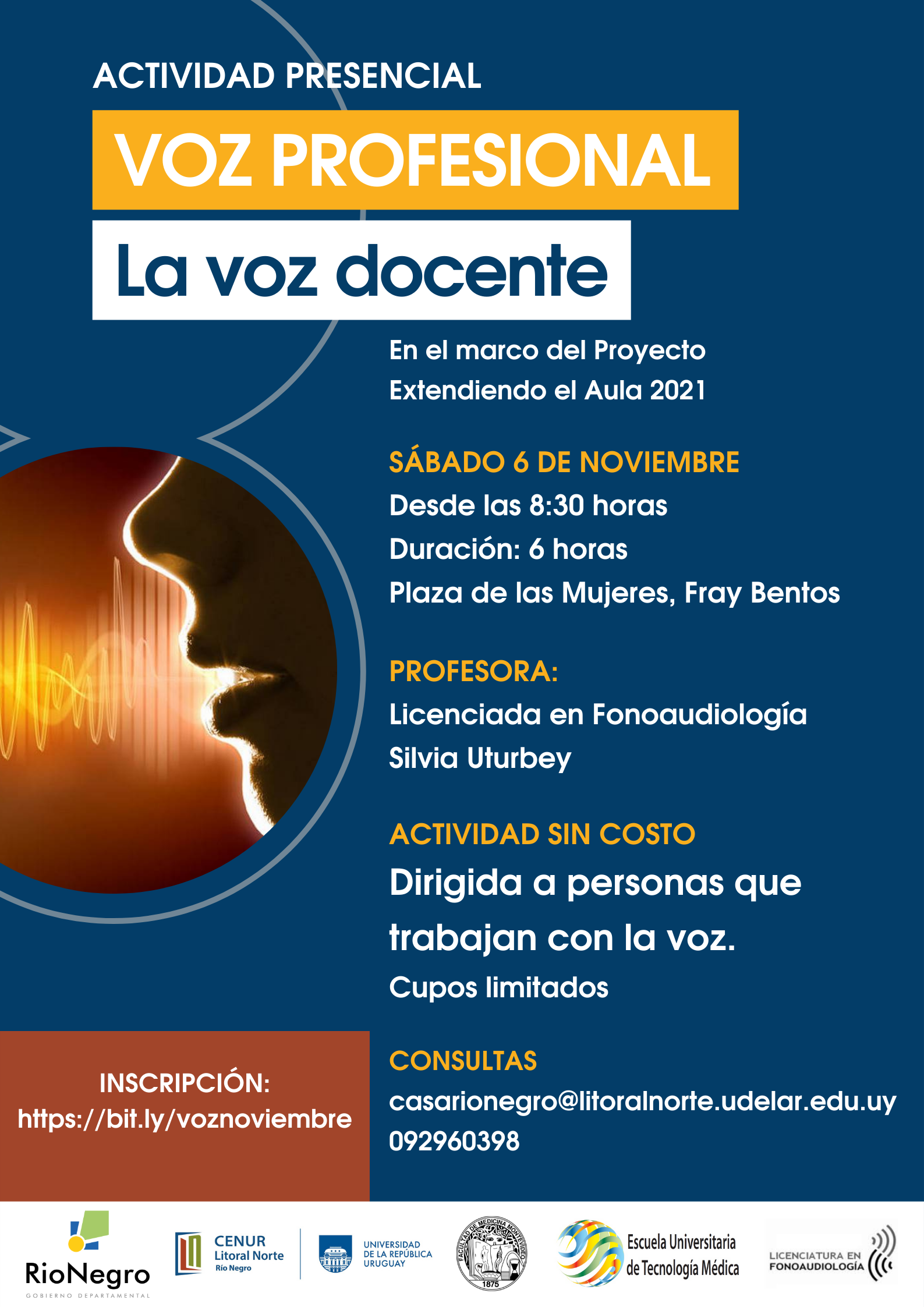 Afiche Voz Profesional Voz Docente