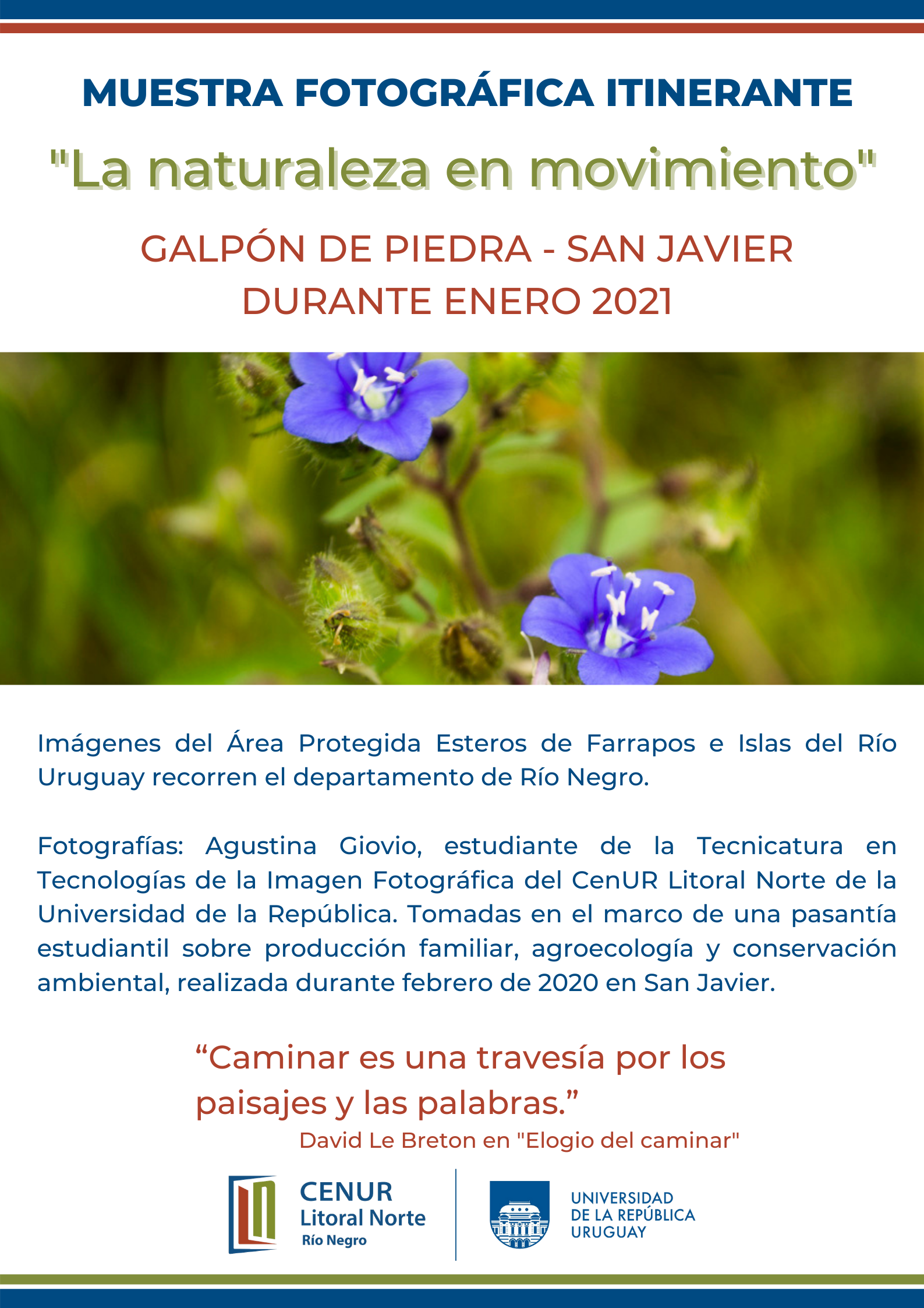 Naturaleza en movimiento San Javier