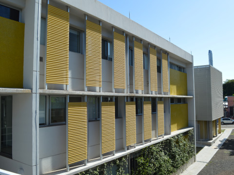 P3a